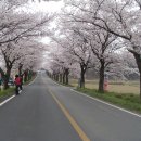 홍어 박사네 Daum카페