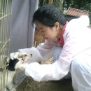 청하헬스 이미지