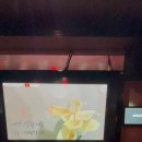 짱노래연습장 이미지