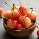 체리휘트니스 | 레이니어 체리 맛부터 효능까지 모든 것