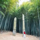 금강4교 간이화장실 | 부산 기장 가볼만한 곳 아홉산숲 고요한 자연의 신비로움을 느낄 수 있는 곳