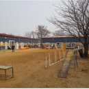 호텔펫코리아 이미지