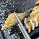 강동풍천장어 이미지