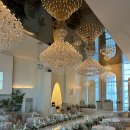 목화물나이트클럽 주식회사 | W03. 부산 W웨딩 목화웨딩홀 벨리스홀 / 목화웨딩컨벤션 홀투어 26년12월 계약후기