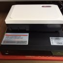 하례광장로 이미지