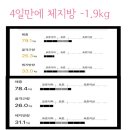 영남화원 네이버블로그