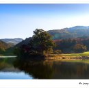 중광농장 이미지