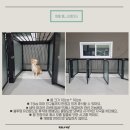 숙희네 개집 이미지