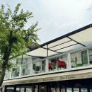 멍스클럽 | 태안 안면도 반려동반 독채 풀빌라 멍스클럽 여행 후기