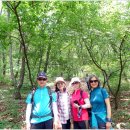 매봉약수 이미지