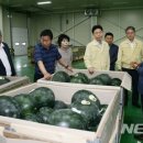 가야농협 산지유통센터 이미지