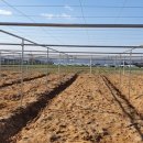 용성목장 이미지