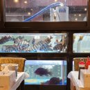 안주마을 이미지