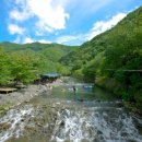 제270차 군산 월드산악회 보령 성주산 정기산행 안내 및 예약(하계산행) 이미지