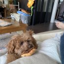 해피히어 이미지