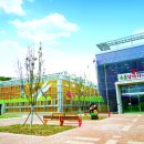 우포 잠자리 나라 이미지