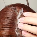 버블버블헤어샵 | 헤어샵전용 버블토닉 닥터시크릿쿨링톡톡! 두피토닉