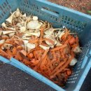 초록별민박 이미지