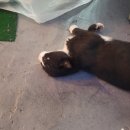 CF 모텔 | 역삼 CF모텔 후기