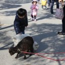 주주(ZOO ZOO) 이미지