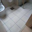 덕이로 | ♥️일산줄눈시공 꼭 필요한가요?탄현동 에듀포레푸르지오 욕실 재시공후기