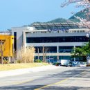 영덕세무서 이미지