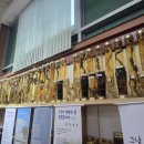 산넘어 그곳 이미지