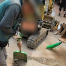 녹천교 화장실 이미지