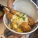 동해약국 | 동해맛집 깔끔하고 맛있는 일식 사케와에비동 냉모밀 에비카츠동 후기