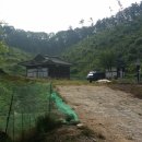 유복립 묘 이미지