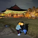 낮잠자는 아이와 여행 [2박3일 경주여행] : 첫째날 일정 공유와 스케줄 짜기 TIP