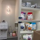 퍼스트동물병원 | 절미가 5년째 다니고있는 퍼스트동물병원