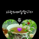 오늘도화이팅 Daum카페