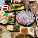 성진활어 | 속초맛집 현지인 추천 맛집 탐방 성진활어 추천