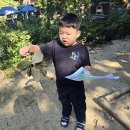 방주어린이집 이미지