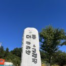 코끼리마트 | 포천글램핑 즐길거리 많은 더존카라반글램핑 럭셔리카라반 후기