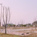 회산백련지 관리사무소 이미지