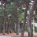 망양리 대게공원 이미지