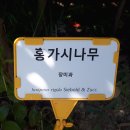 [이도산행 시즌2 창원지부] 산행일기6. 도심속 수목원 이미지