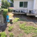 이천양정여자중학교 이미지