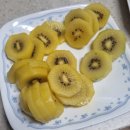 한냥노가리부천소사점 | 냥데기의 제멋대로 일상 #179(회사 면접, 메이플[주간보스], 알바 쉬는 날)[25.11.27_목요일]