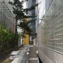 강남-239 | 강남 역삼역 꽃집 추천! 기념일이나 데이트에 딱인 ‘화기애애플라워&amp;플랜트’ 내돈내산 후기