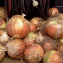 장순농장 이미지