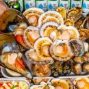 회 조개마을 이미지