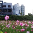 전라남도교육청남평도서관 이미지