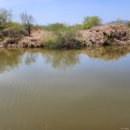 반월(릴)-17 이미지