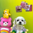 개운한날 이미지