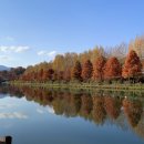 뚝섬한강공원-51 이미지