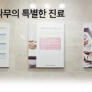 나무한의원 이미지