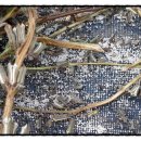 참들농장 이미지